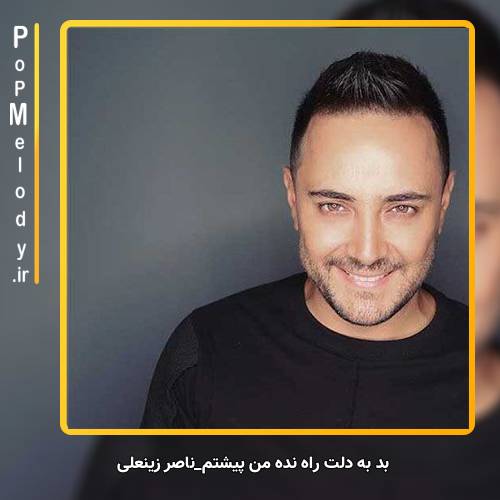 دانلود آهنگ ناصر زینعلی همسفر